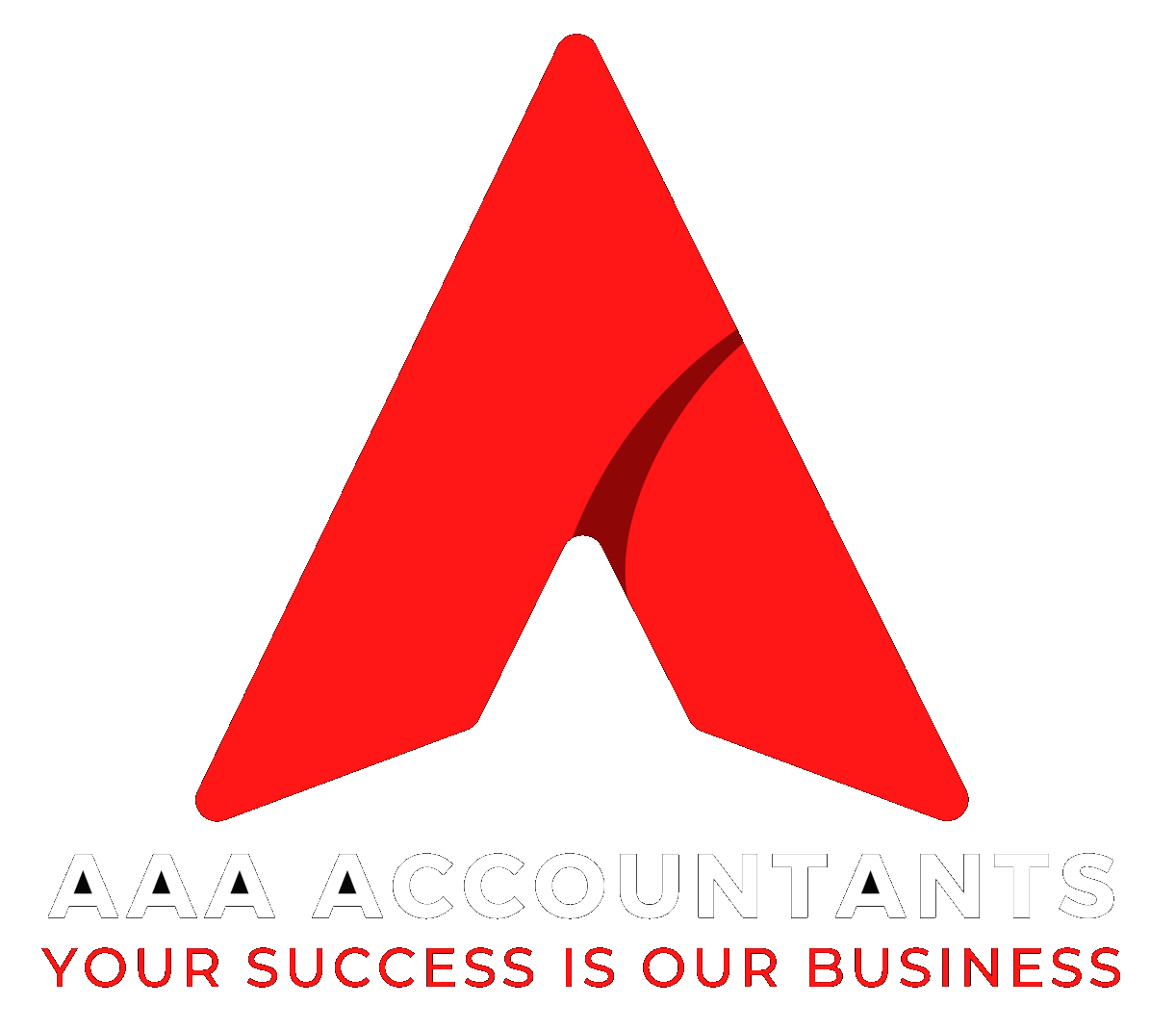 AAA ACCOUNTANTS